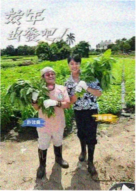 剧迷影视雾港纪事作品档案图